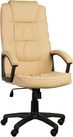 Кресло для руководителя Acm CH-005 PL 0413